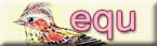 (eqũoi[)