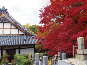 (Ε􎛂̍gt)