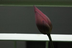 (811̃nX̂ڂ)