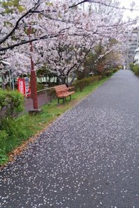 (JɎU)