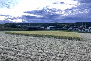 (10��22���̊��c��)