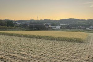 (10��30���̊��c��)