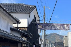 (�R��̎𑠒�)