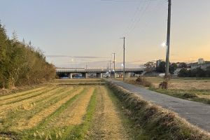 (����Ɗ����)