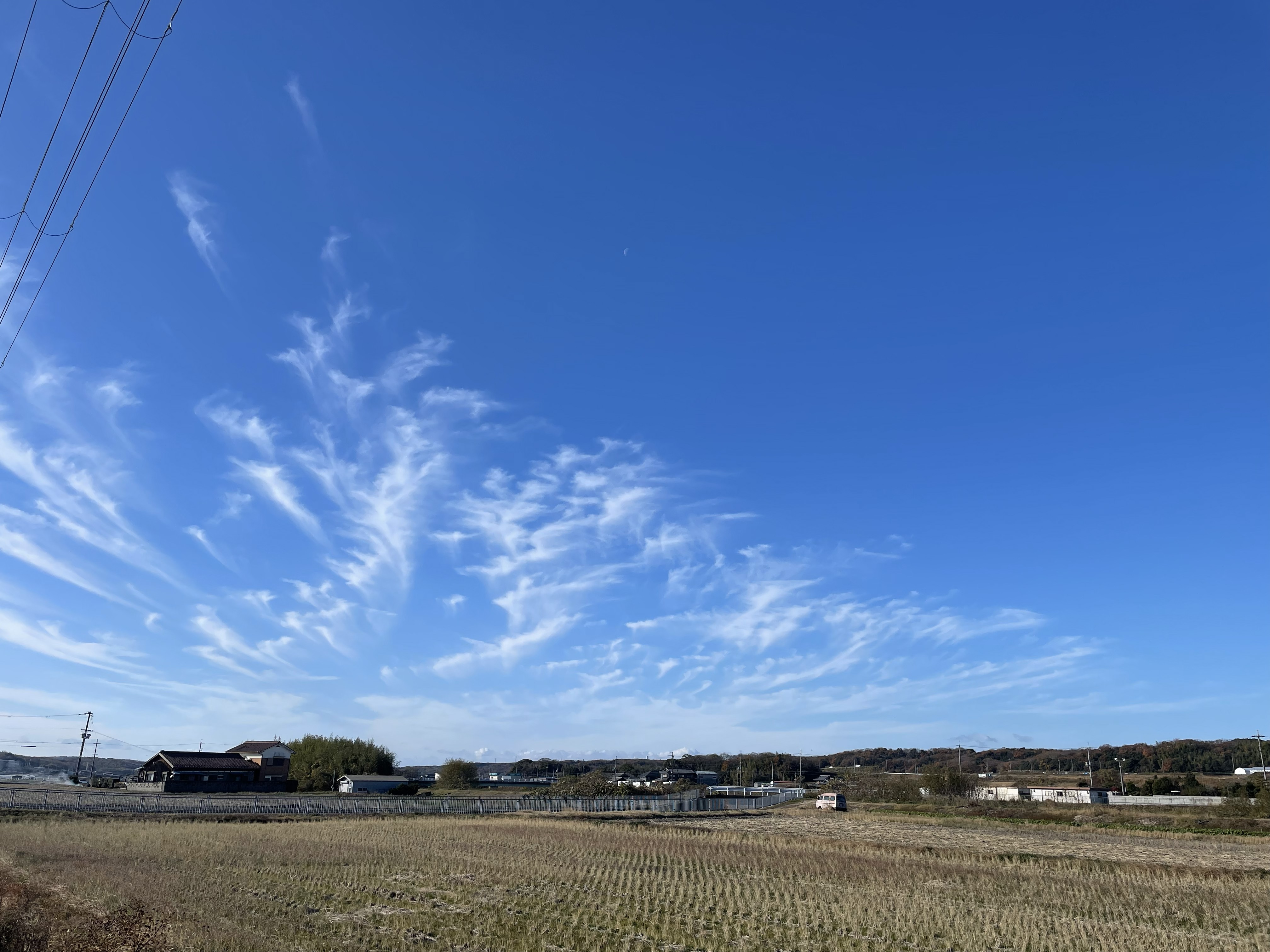 (�~�̑��V(��))