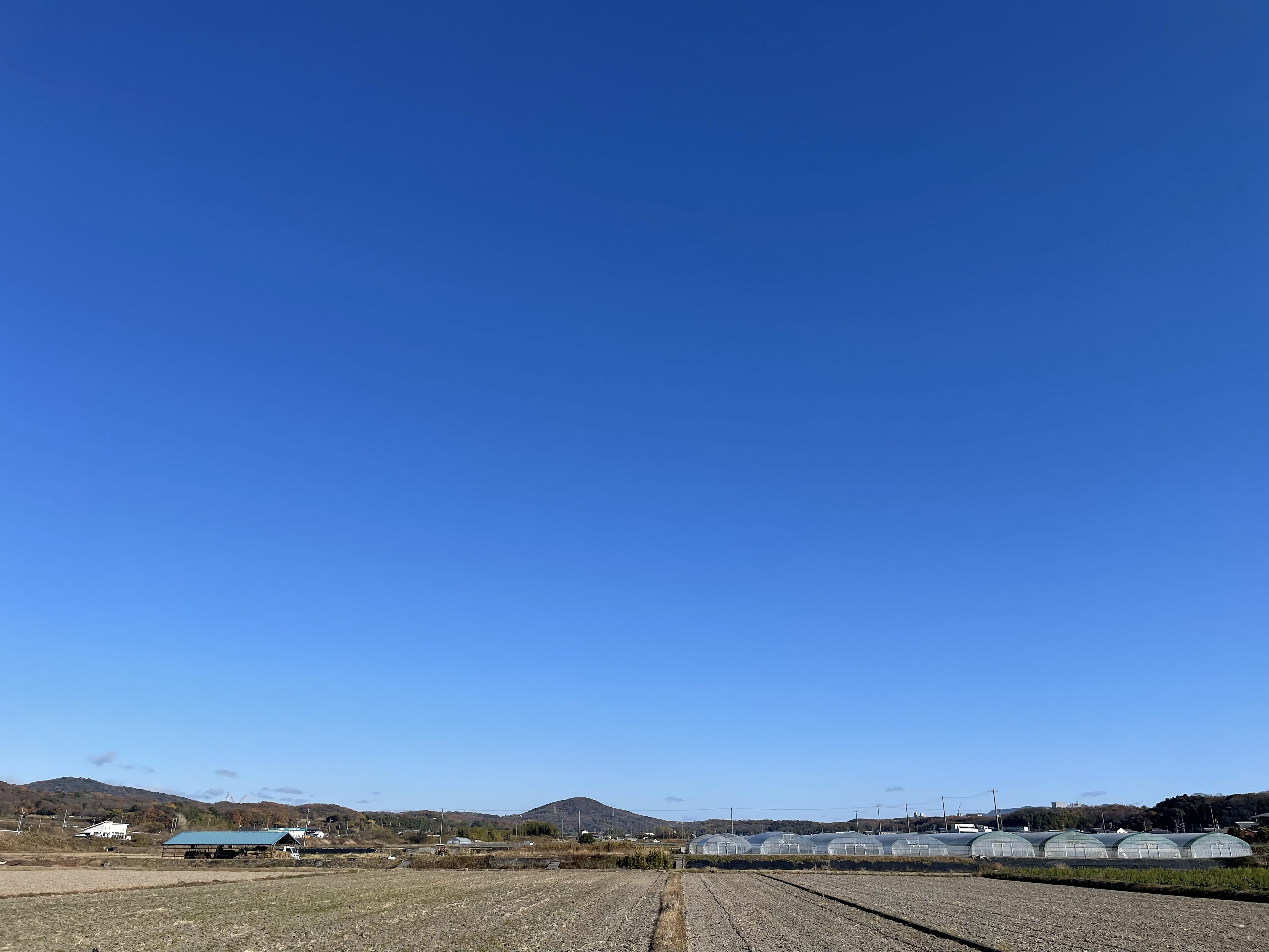 (�~�̑��V(��)