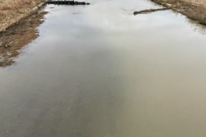 (�J��̖��ΐ�)