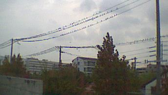 (NȟQ)