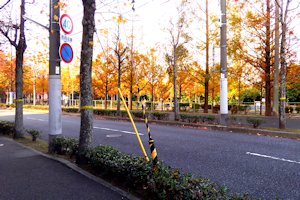 (XH)