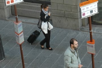 gP
