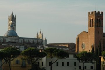 VGi̒